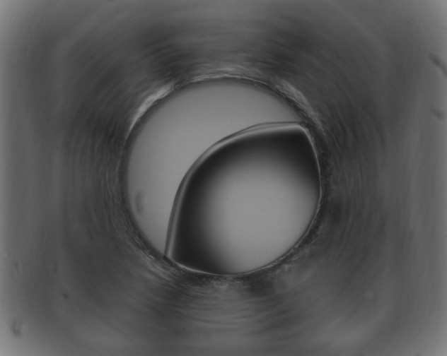 X0000092331218200709141111