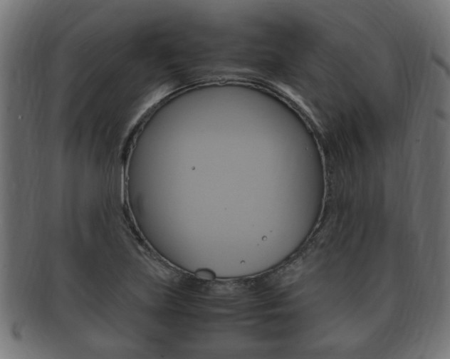 X0000092331219200709141111