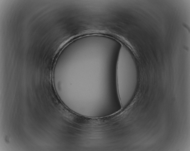X0000092331220200709141111