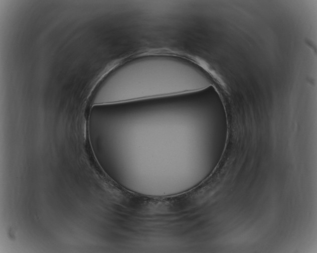 X0000092331221200709141111