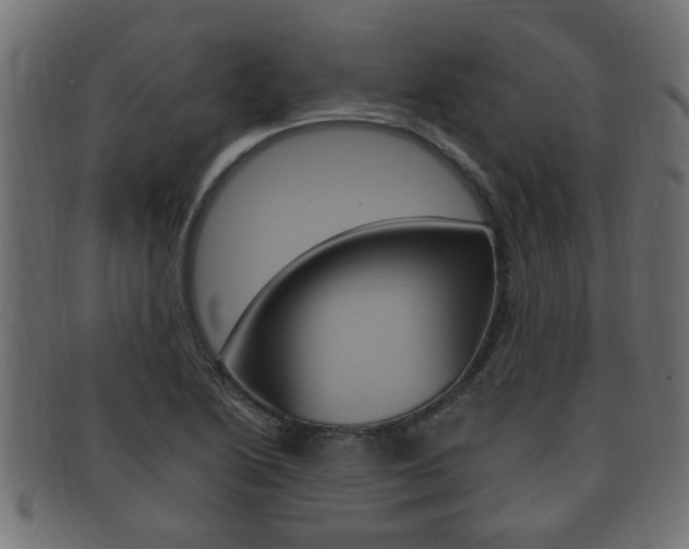 X0000092331222200709141111