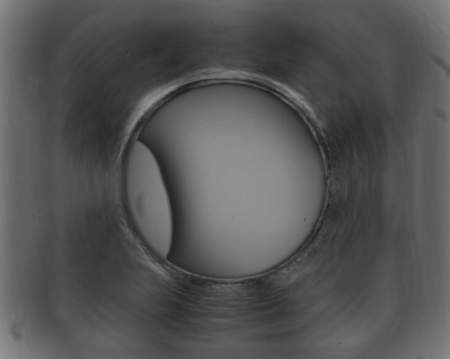 X0000092331223200709141111