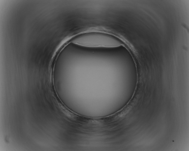 X0000092331224200709141111