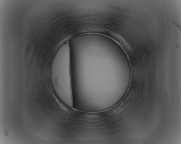 X0000092331225200709141111