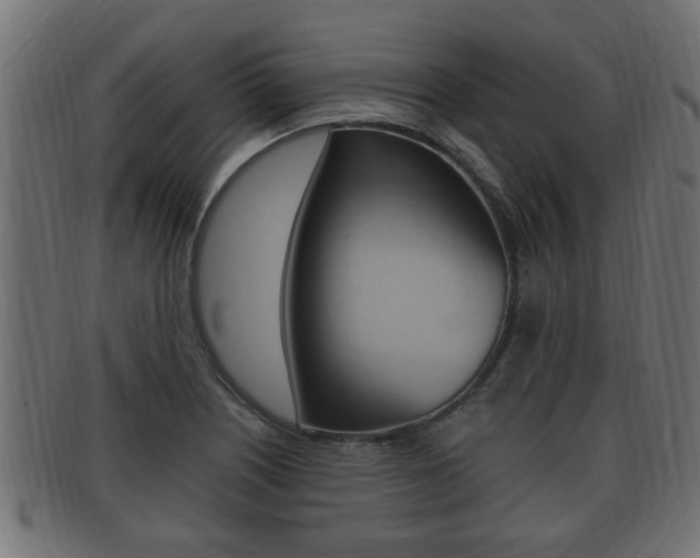 X0000092331226200709141111