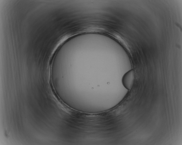 X0000092331227200709141111