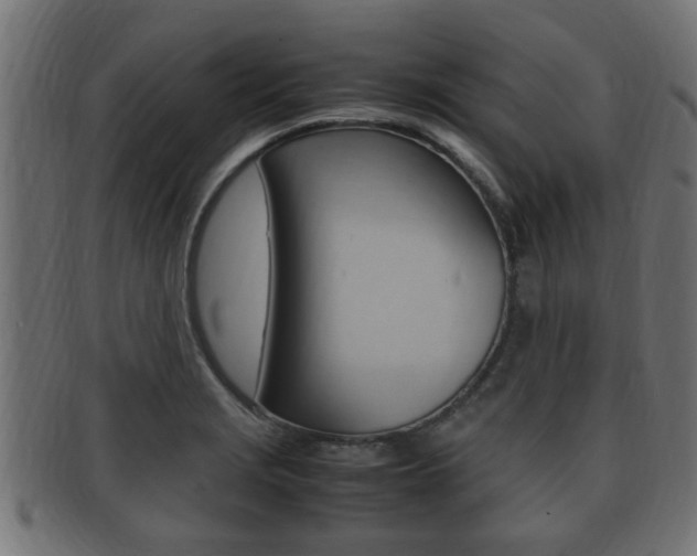 X0000092331229200709141111