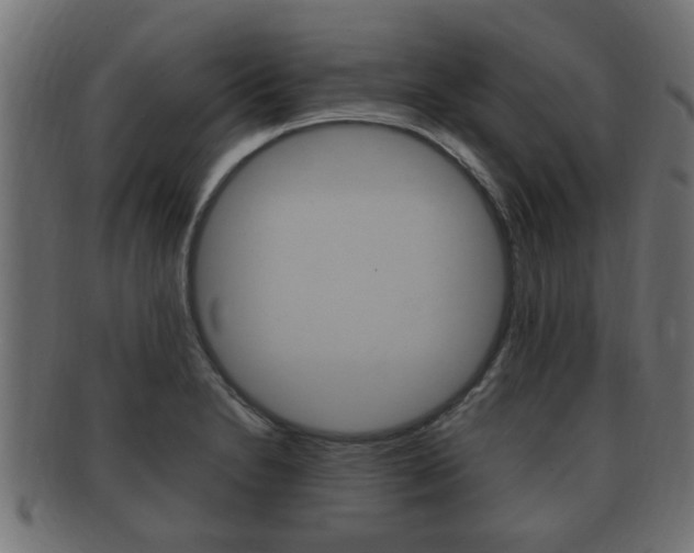 X0000092331230200709141111