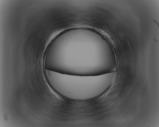 X0000092331231200709141111