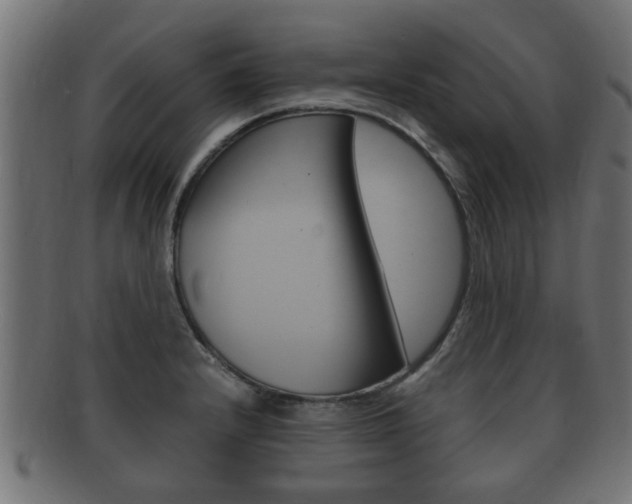 X0000092331232200709141111