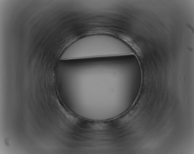 X0000092331233200709141111
