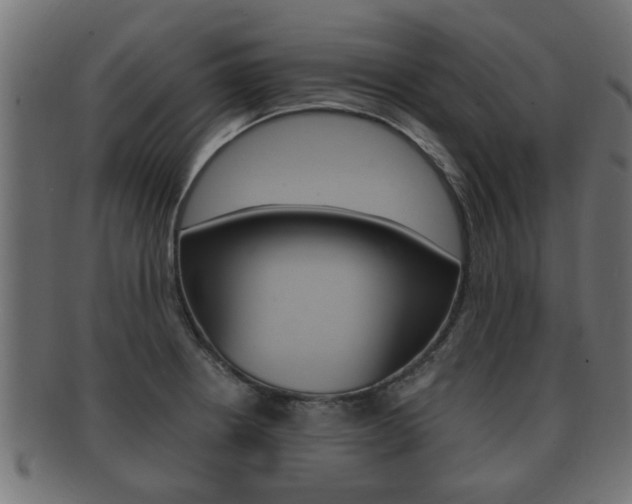 X0000092331234200709141111