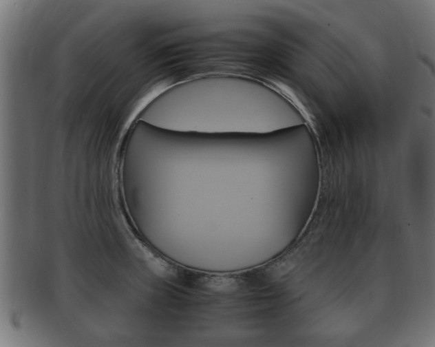 X0000092331235200709141111