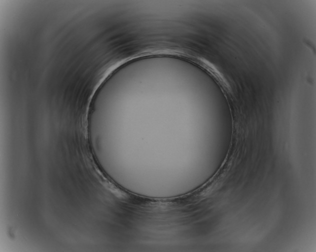 X0000092331236200709141111