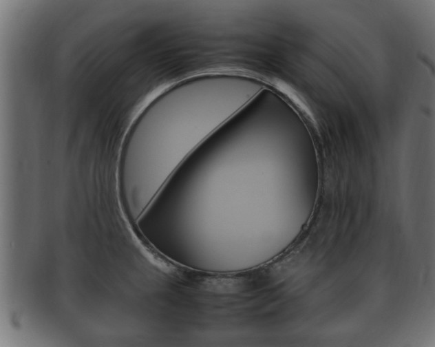 X0000092331237200709141111