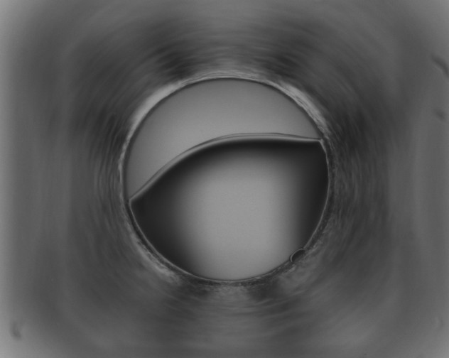 X0000092331238200709141111