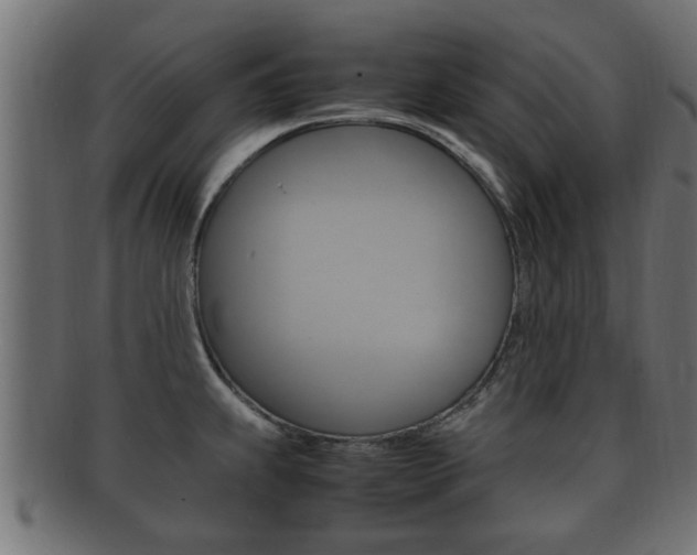 X0000092331239200709141111