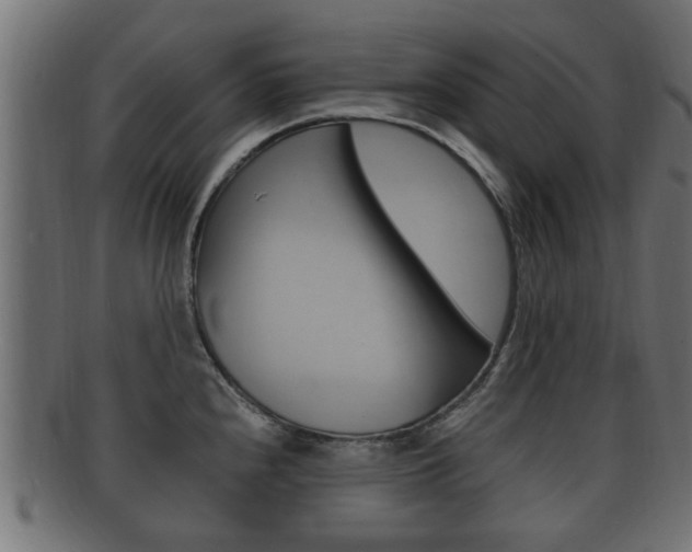 X0000092331240200709141111