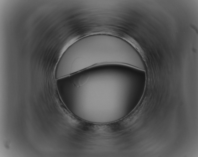 X0000092331242200709141111