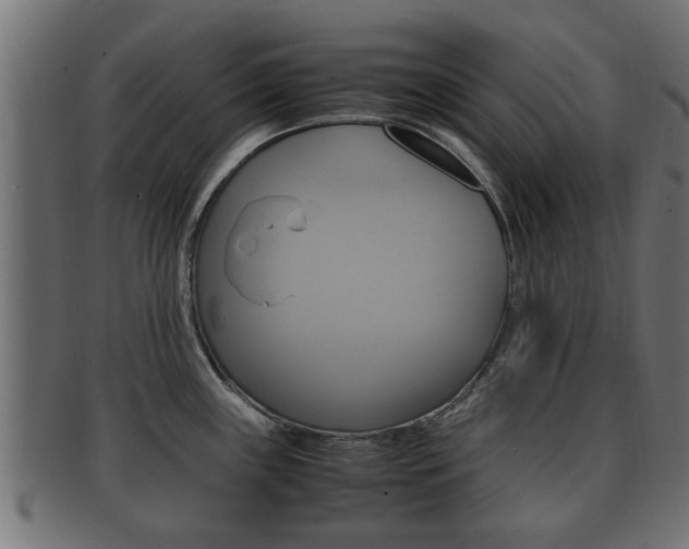 X0000092331243200709141111