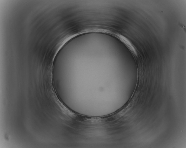 X0000092331244200709141111