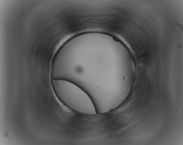 X0000092331245200709141111