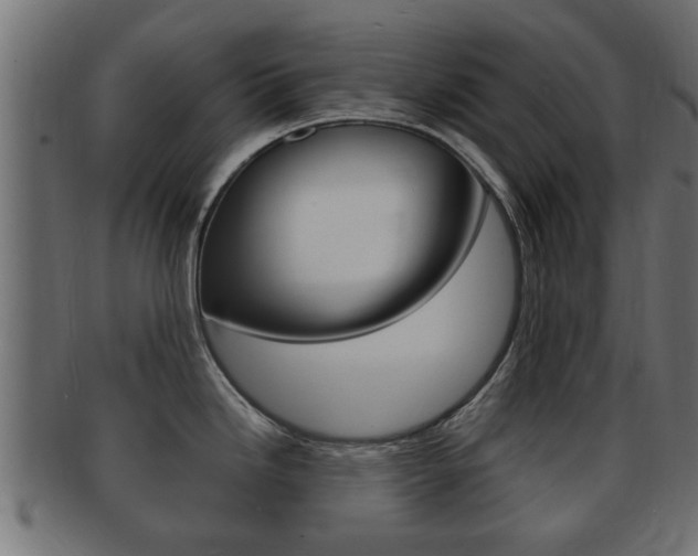 X0000092331246200709141111
