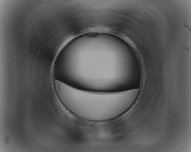 X0000092331248200709141111