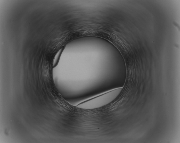 X0000092331250200709141110