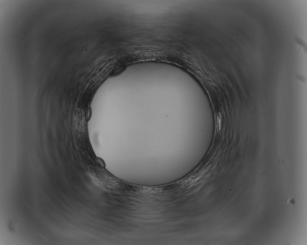 X0000092331251200709141110