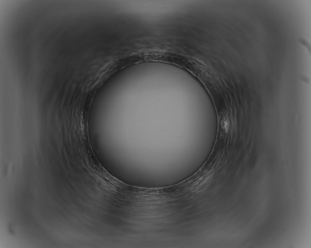 X0000092331252200709141110