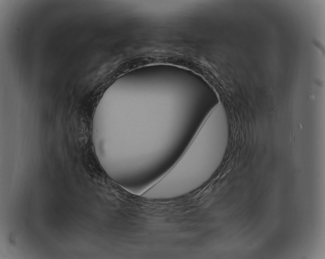 X0000092331253200709141110