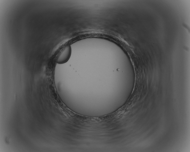 X0000092331255200709141110