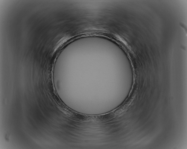 X0000092331259200709141110
