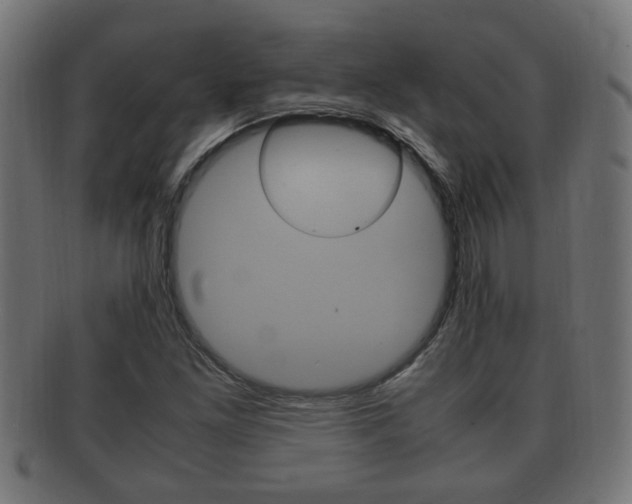 X0000092331261200709141110