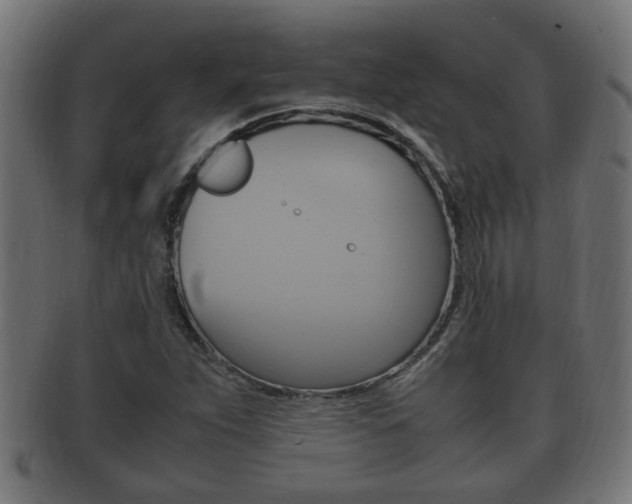 X0000092331263200709141110