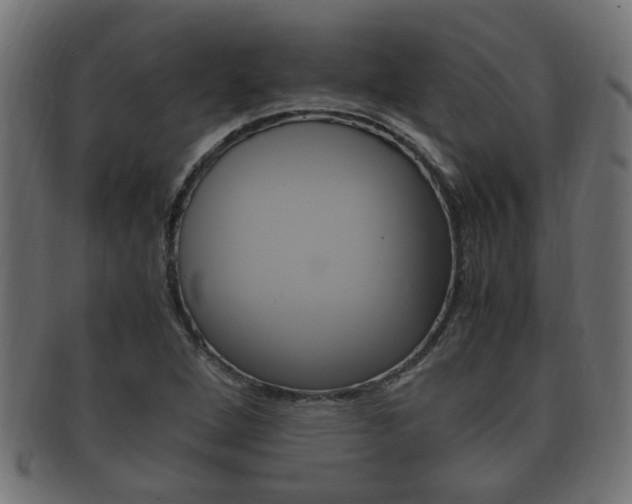 X0000092331264200709141110