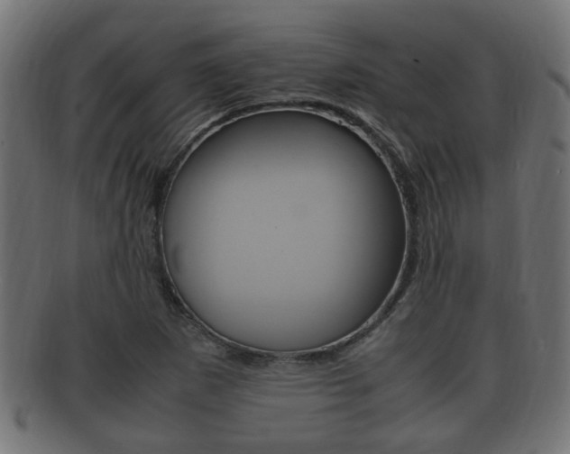 X0000092331265200709141110