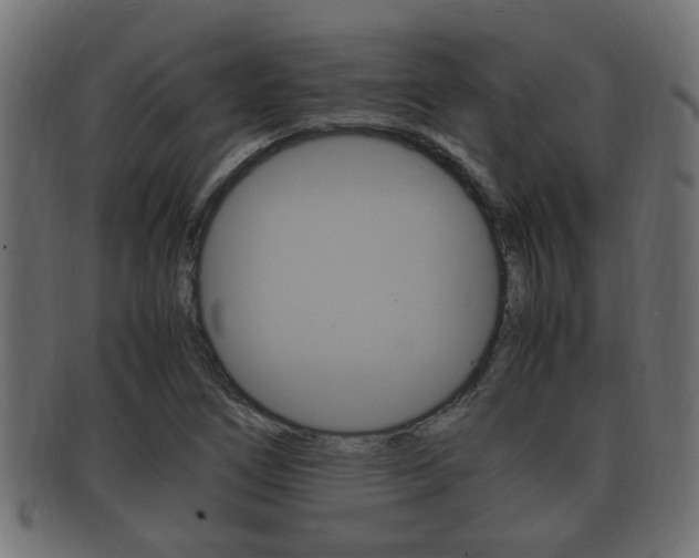 X0000092331266200709141110
