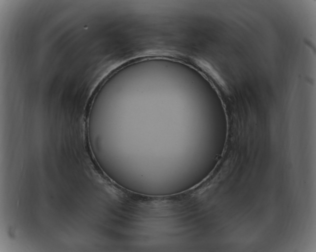 X0000092331268200709141110