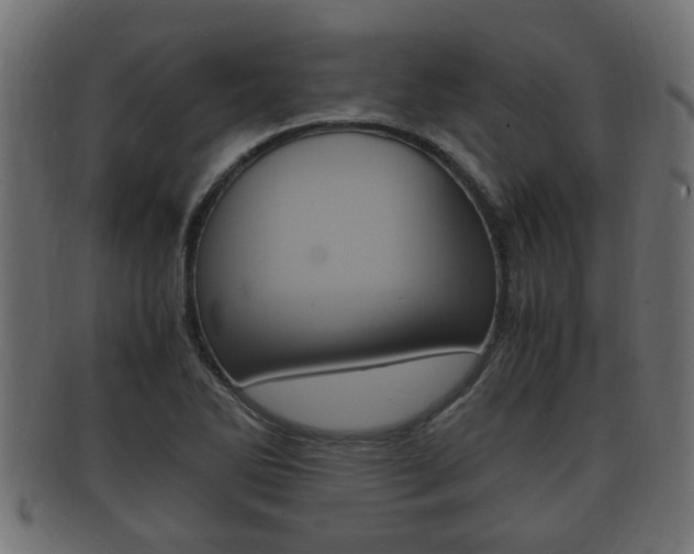 X0000092331270200709141110