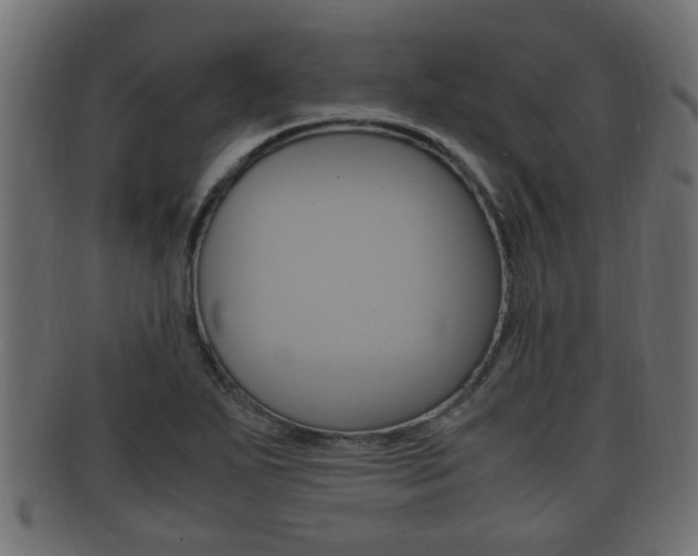 X0000092331271200709141110