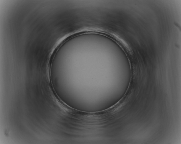 X0000092331272200709141110