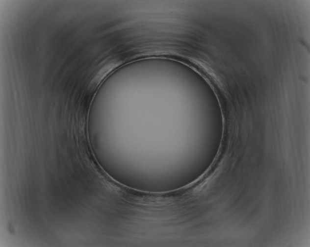 X0000092331273200709141110