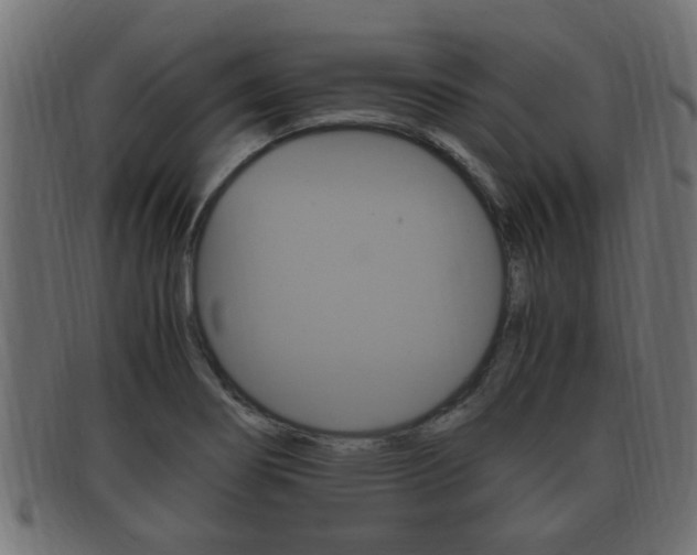 X0000092331274200709141110