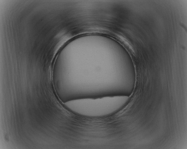 X0000092331275200709141110