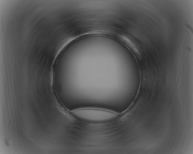 X0000092331276200709141110