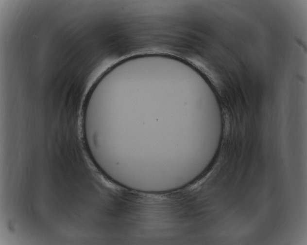 X0000092331278200709141110