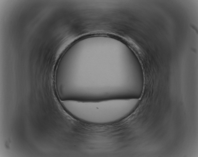 X0000092331279200709141110