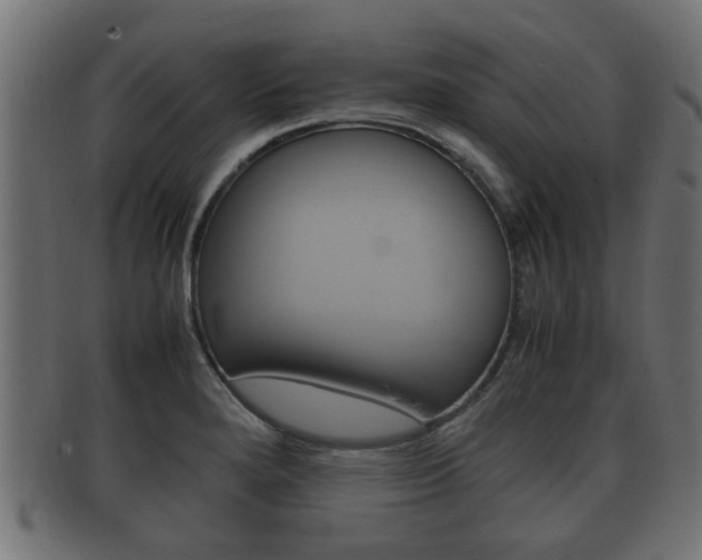 X0000092331280200709141110